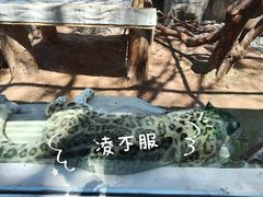 -青藏高原野生动物园