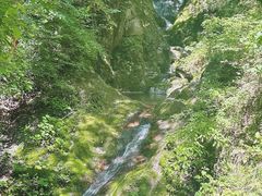 -牛背梁国家森林公园