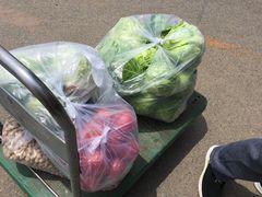 -锦绣大地生鲜食品厅