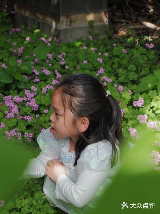 苏州河梦清园环保主题公园图片