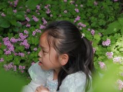 -苏州河梦清园环保主题公园