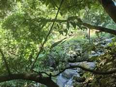 -火炉山森林公园