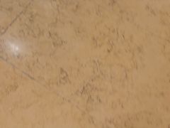 -ZOO COFFEE动物园咖啡(望京锐创店)