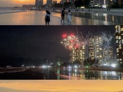 -广东惠东海龟国家级自然保护区