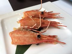 -FOUNT创意日料