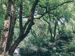 -西湖风景区十里琅珰-五云山