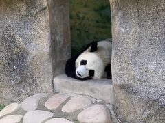 -上海野生动物园