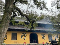 -普陀山风景名胜区-法雨禅寺