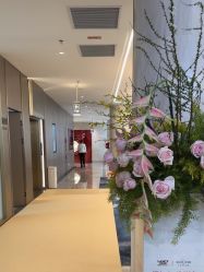 -深圳米兰柏羽医疗美容医院