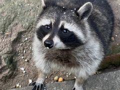 -青藏高原野生动物园