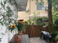 -云里小坐·小院里·团建·宴请·下午茶(三圣乡店)