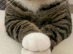 -牛佬牛杂汤(金花直街店)