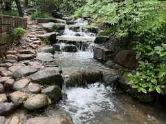 -中国茶叶博物馆(双峰馆区)