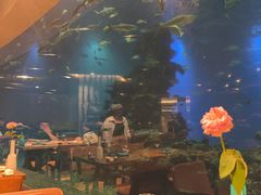 -海棠湾洲际-涛·海底餐厅·美人鱼·自助餐·海底隧道