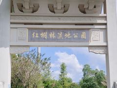 -大亚湾红树林城市湿地公园