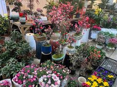 -双季花艺园艺市场(浦东店)