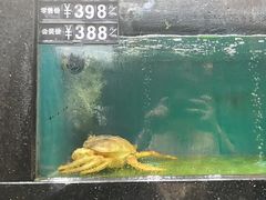 -聚鑫阁江浙菜·非遗传承技艺(青村帝华园店)
