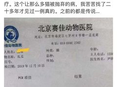 -北京赛佳动物医院