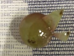 -地利生鲜(万科明天广场店)