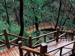 -大岭沟猕猴桃谷风景区