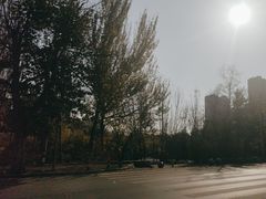 -前关湿地公园