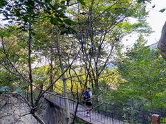 -秦岭终南山世界地质公园翠华山景区