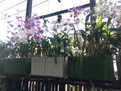-自然餐厅(Phuket)
