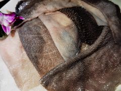 -二荆条·蜀鲜汇城市森林火锅