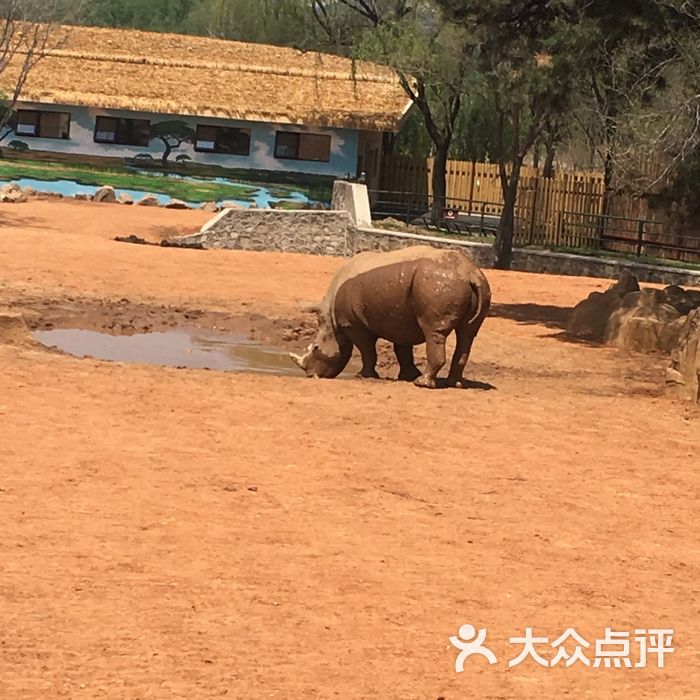 瀋陽森林動物園