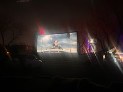 -枫花园汽车电影院(朝阳公园店)