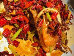 -佬肥猫(国华广场店)