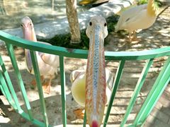 -水上乐园·欢乐世界