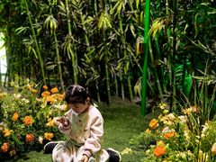 -泉城欧乐堡海洋极地世界