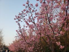 -艾溪湖湿地公园