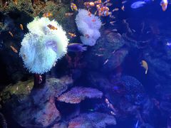 -沈阳海洋探索中心