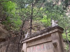-藏山旅游风景区