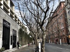景观位-花马天堂云南餐厅 Lost Heaven(外滩店)