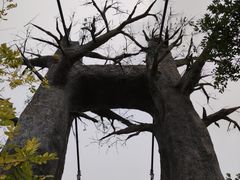 -西青郊野公园