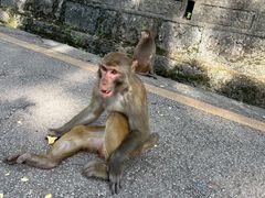 -黔灵山公园