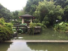 -桐庐开元名都大酒店