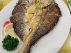 -高丽馆(尊茂店)