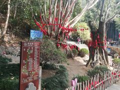 -竹林柴火鸡(高原明珠店)