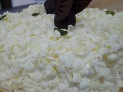 -BLACKSWAN黑天鹅(环球店)