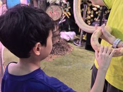 -正佳雨林生态植物园