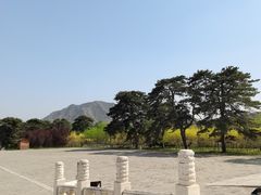 -清西陵
