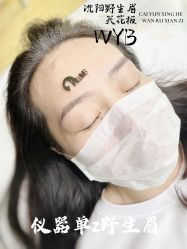 -宛央半永久·美学研究所