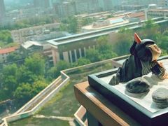-帝京日语(春熙路旗舰校区)
