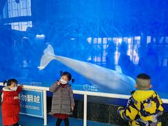 -泉城欧乐堡海洋极地世界