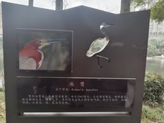 -重庆彩云湖湿地公园