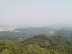-大屏嶂森林公园